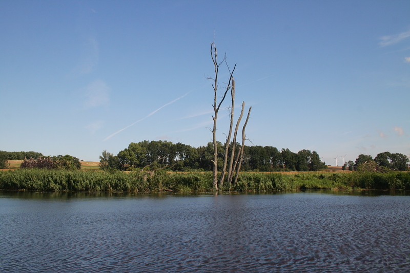 Kummerower See